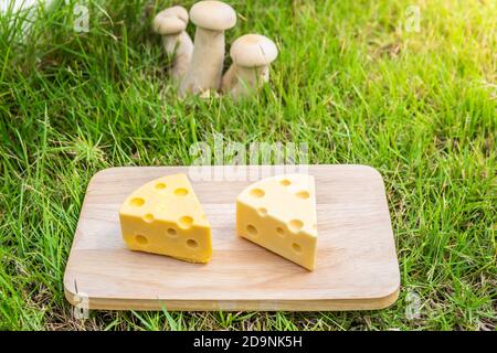 Eis in Käsewürfeln auf einem Holztablett auf einem Gartengras mit Pilzhintergrund. Stockfoto