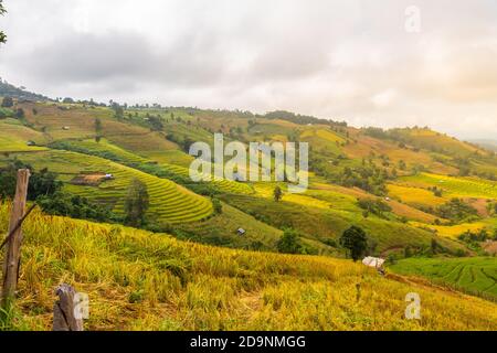 Landschaft von Reisterrassen auf dem Berg bei Ban Pa Pong Piang, Doi DIN Thanon, Chiang Mai, Thailand Stockfoto