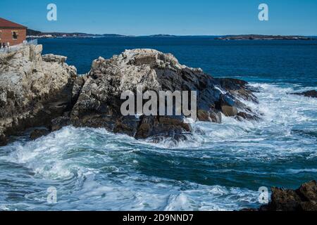 Der Anstieg unter Portland Head Light, Maine. #8499 Stockfoto