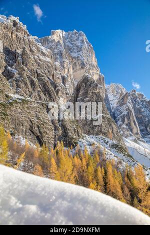 Die Wand des Berges Moiazza aus Sicht von Corpassa Tal, Civetta Gruppe, Agordino, Dolomiten, Belluno, Venetien, Italien, Europa Stockfoto