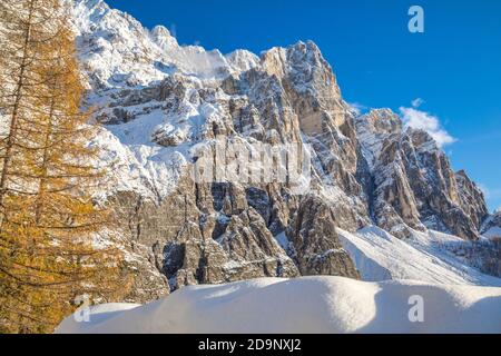 Die Wand des Berges Moiazza aus Sicht von Corpassa Tal, Civetta Gruppe, Agordino, Dolomiten, Belluno, Venetien, Italien, Europa Stockfoto