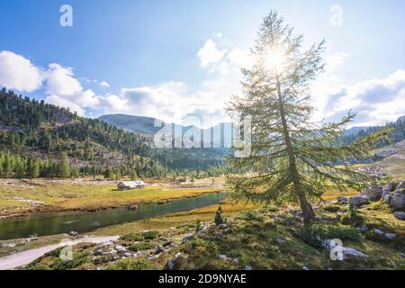 Berglandschaft der Fales Alm, Dolomiten von Fanes Sennes Prags, St. Vigil in Enneberg, Bozen, Südtirol, Italien, Europa, Stockfoto