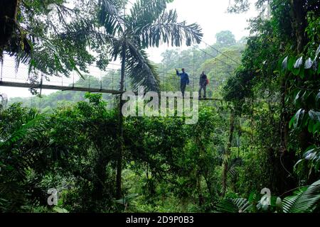 Costa Rica Arenal Volcano National Park - Wandern und Baum Top Walk Stockfoto