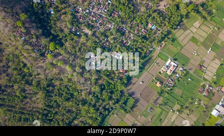 Viele Villen mit braun-orangen Schindeldächern zwischen tropischen Bäumen am Himmel Hintergrund in Ubud auf Bali. Die Sonne scheint auf sie Stockfoto