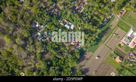 Viele Villen mit braun-orangen Schindeldächern zwischen tropischen Bäumen am Himmel Hintergrund in Ubud auf Bali. Die Sonne scheint auf sie Stockfoto