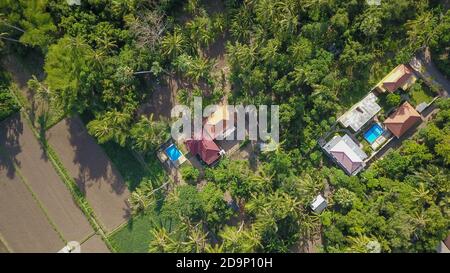 Viele Villen mit braun-orangen Schindeldächern zwischen tropischen Bäumen am Himmel Hintergrund in Ubud auf Bali. Die Sonne scheint auf sie Stockfoto