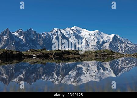 Frankreich, Haute-Savoie, Alpen, Mont-Blanc-Gebirge mit Aiguilles de Chamonix (links), Aiguille du Midi (3842m), Mont Blanc (4810m) und Aiguille de Bionnassay (4052m rechts), die sich im See von Cheserys spiegeln (2300m) Stockfoto