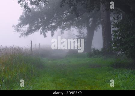 Nebel am frühen Morgen auf einem landwirtschaftlichen Pfad im Herbst, selektive Schärfe, Schärfe im Vordergrund Stockfoto