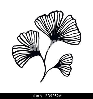 Ginkgo biloba Zweig mit Blättern handgezeichnete Konturlinie. Vector Blumenkunst in einem trendigen minimalistischen Stil. Für Logos, Einladungen Stock Vektor