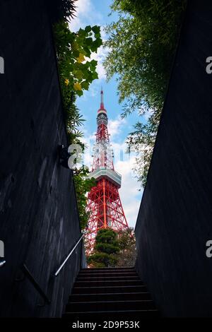 Tokyo Tower von Bäumen umrahmt. Stockfoto