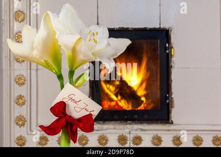 Weiße Amaryllis mit einer 'God Jul Card' und einer roten Bogen vor einem Kachelofen Stockfoto