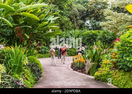 Singapur - 5. Dezember 2019: Touristen, die Fotos im National Orchid Garden machen, der sich im Botanischen Garten von Singapur befindet. Stockfoto