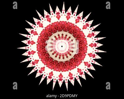 Digital Kreierte Design Mit Rosa Rosen Auf Schwarzem Hintergrund Kaleidoskop-Effekt Stockfoto