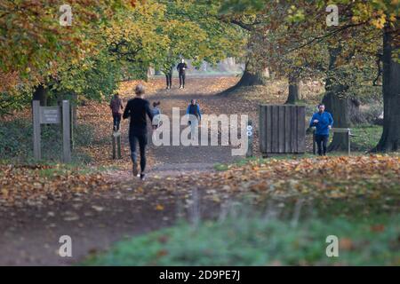 London, Großbritannien. November 2020. Ein milder Start ins Winterwochenende, da die Londoner zum ersten Wochenende in der zweiten Coronavirus-Sperre des Landes aufwachen. Richmond Park. Kredit: Liam Asman/Alamy Live Nachrichten Stockfoto