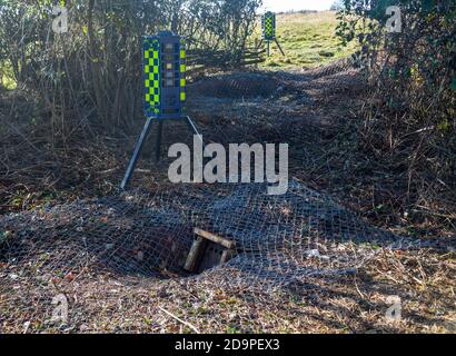 Räumung von Dachsen Räumung des Dachsbaus mit Metallzäunung und Einwegausfahrtstoren, Teil des HS2 Projektes in der Nähe von Kenilworth, Warwickshire, England, - November 2020. Armadillo VideoGuard Überwachungsroboter verwendet, um Ort zu beobachten und zu erkennen Demonstranten Stockfoto