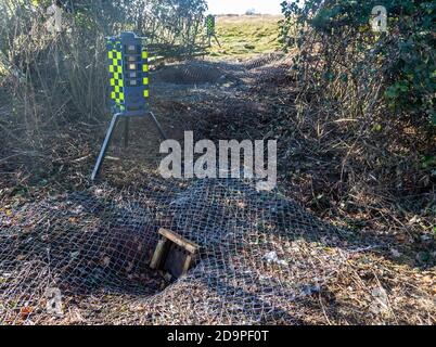 Räumung von Dachsen Räumung des Dachsbaus mit Metallzäunung und Einwegausfahrtstoren, Teil des HS2 Projektes in der Nähe von Kenilworth, Warwickshire, England, - November 2020. Armadillo VideoGuard Überwachungsroboter verwendet, um Ort zu beobachten und zu erkennen Demonstranten Stockfoto