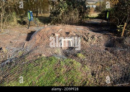 Räumung von Dachsen Räumung des Dachsbaus mit Metallzäunung und Einwegausfahrtstoren, Teil des HS2 Projektes in der Nähe von Kenilworth, Warwickshire, England, - November 2020. Armadillo VideoGuard Überwachungsroboter verwendet, um Ort zu beobachten und zu erkennen Demonstranten Stockfoto