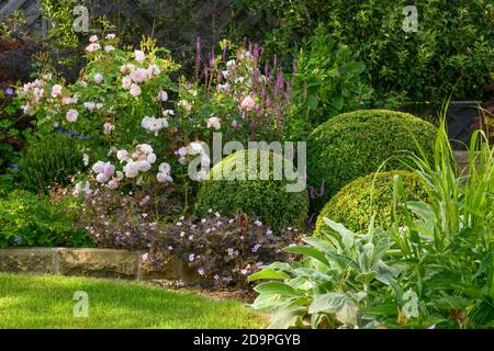 Landschaftlich schöner sonniger privater Garten (modernes Design, Sommerblumen, Randpflanzen, Sträucher, Kastenbälle, niedrige Mauer, Zaun, Rasen) - Yorkshire, England Stockfoto