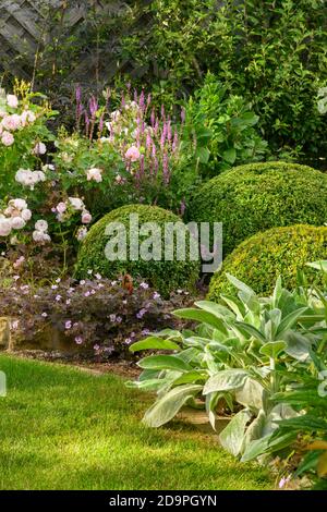 Landschaftlich schöner sonniger privater Garten (zeitgenössisches Design, Sommerblumen, mehrjährige Randpflanzen, Sträucher, Kastenbälle, Zaun, Rasen) - Yorkshire, England Großbritannien Stockfoto