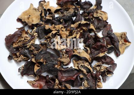 Trockenes Holz Ohrpilz oder Wolke Ohrpilz, Delikatesse von Sikkim, Indien Stockfoto