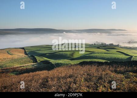 Middleton-in-Teesdale, County Durham, Großbritannien. November 2020. Wetter in Großbritannien. Dichter Nebel, der durch eine Temperaturinversion erzeugt wird, füllt das Tees Valley mit Wolken in der Nähe von Middleton-in-Teesdale an diesem Morgen. Kredit: David Forster/Alamy Live Nachrichten Stockfoto