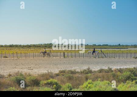 Camargue,Frankreich-august 14.2016Menschen mit Pferden :Spaziergang im Park der Camargue in Frankreich an einem sonnigen Tag Stockfoto