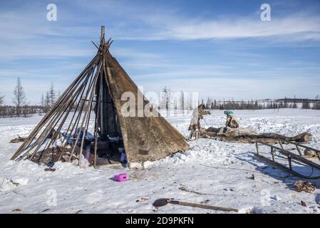 Eine Nenzen-Familie, die ein traditionelles Zelt für Migration demontiert, Jamal-Nenzen Autonomous Okrug, Russland Stockfoto