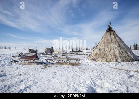 Eine Nenzen-Familie, die ein traditionelles Zelt für Migration demontiert, Jamal-Nenzen Autonomous Okrug, Russland Stockfoto
