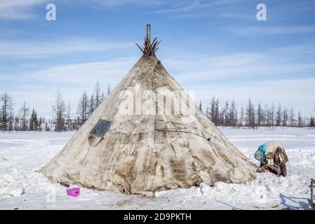 Eine Nenzen-Familie, die ein traditionelles Zelt für Migration demontiert, Jamal-Nenzen Autonomous Okrug, Russland Stockfoto