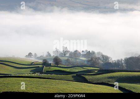 Middleton-in-Teesdale, County Durham, Großbritannien. November 2020. Wetter in Großbritannien. Dichter Nebel, der durch eine Temperaturinversion erzeugt wird, füllt das Tees Valley mit Wolken in der Nähe von Middleton-in-Teesdale an diesem Morgen. Kredit: David Forster/Alamy Live Nachrichten Stockfoto