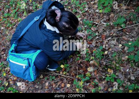 Asiatische Reisende thai alte Frauen Wandern im Dschungel Für Jäger und Sammler und Pilze sammeln im Schwarzwald oder Schwarzwald bei Seebach Stockfoto