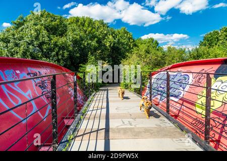 Zwei Hunde laufen über die Friends Bridge in Hackney Marshes, London, Großbritannien Stockfoto