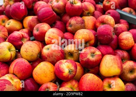 Bunte Äpfel auf einem offenen Markt Stockfoto