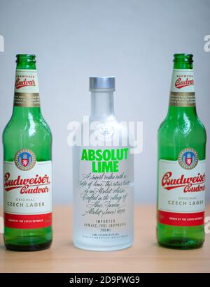 Zwei grüne leere Budweiser Bierflaschen und Wodka absolut Lime Stockfoto