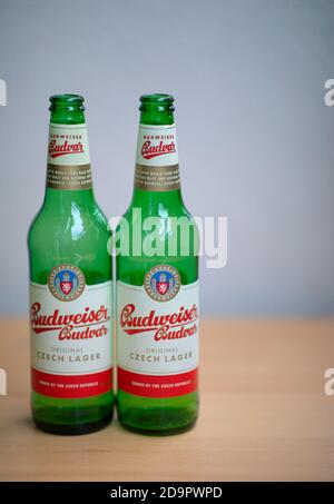 Zwei grüne leere Budweiser Bierflaschen Stockfoto