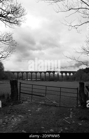 '44871' führt '45407' durch das Viadukt von Cynghordy mit einem Zug in Richtung Norden. Stockfoto