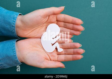 Weibliche Hände halten eine papiergeschnittene Silhouette eines Fötus. Grüner Hintergrund. Flay Lay. Nahaufnahme. Konzept der künstlichen Befruchtung und Schwangerschaft. Stockfoto