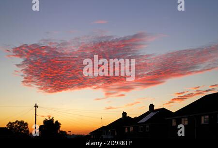 Eine Ansicht einer Gruppe von Altocumulus Wolken bei Sonnenuntergang mit der Sonne, die rot von der Unterseite über Hellesdon reflektiert, Norfolk, England, Vereinigtes Königreich. Stockfoto