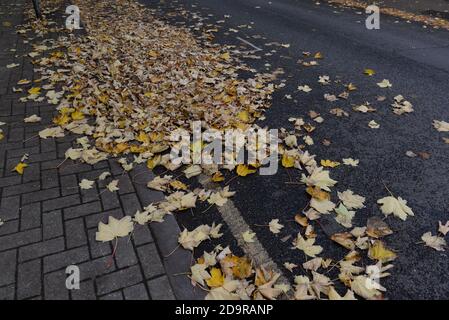 Verstreute Herbstblätter liegen friedlich auf einer Straße und einem Gehsteig Stockfoto