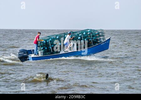 Louisiana Lake Pontchartrain Northshore, Madisonville, voll gefüllte Krabbenfallen mit Boot geladen, Stockfoto