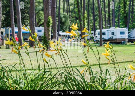 Louisiana Northshore, Madisonville, Fairview Riverside State Park Camping Campingplatz Wohnwagen für Wohnmobile, Stockfoto