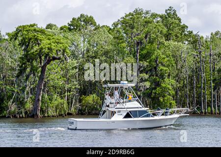 Louisiana Northshore, Madisonville, Fairview Riverside State Park am Tchefunkte River, Bootstouren, Jachtangeln, Stockfoto