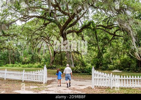 Louisiana Northshore, Madisonville, Fairview Riverside State Park Familie Großvater Enkeltochter älterer Mann Mädchen, Spaziergang, Stockfoto