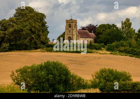 Englische Steinkirche in Uppington Shropshire über Maisfeld gesehen Stockfoto