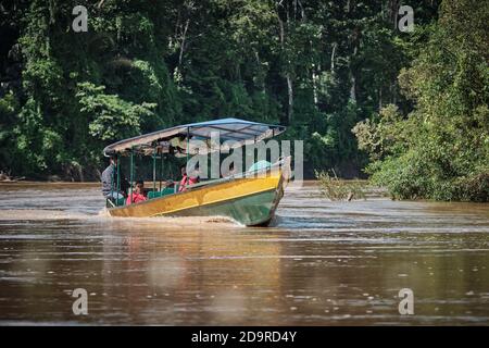 Ein Touristenboot in Amazonien, Peru (Region Madre de Dios, Nationalpark Manu) Stockfoto