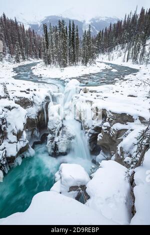 Sunwapta Falls im Winter Stockfoto