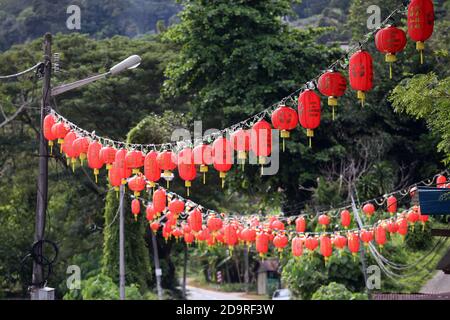 Eine rote chinesische Laterne ist auf einem grünen Baum in Malaysia Stockfoto