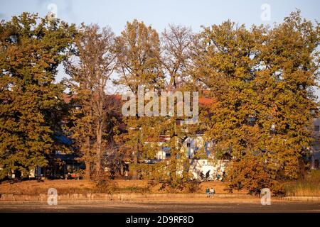 Nürnberg, Deutschland. November 2020. Ausflügler sitzen in der Abendsonne am Großen Dutzendteich. Seit Anfang der Woche ist in Deutschland eine teilweise Sperrung in Kraft. Quelle: Daniel Karmann/dpa/Alamy Live News Stockfoto