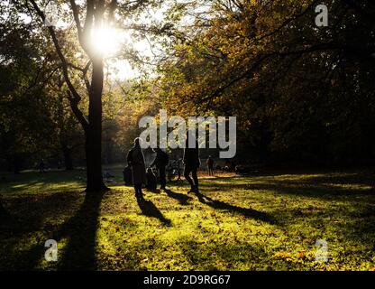 Berlin, Deutschland. November 2020. Auf einer Wiese im Tiergarten genießen die Menschen den strahlenden Sonnenschein und die milden Herbsttemperaturen. Quelle: Paul Zinken/dpa/Alamy Live News Stockfoto