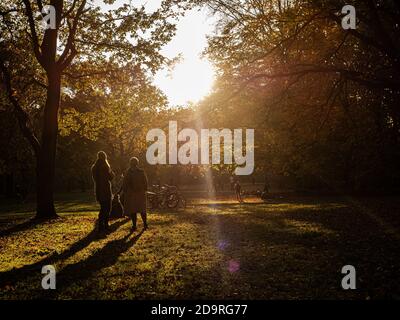 Berlin, Deutschland. November 2020. Auf einer Wiese im Tiergarten genießen die Menschen den strahlenden Sonnenschein und die milden Herbsttemperaturen. Quelle: Paul Zinken/dpa/Alamy Live News Stockfoto